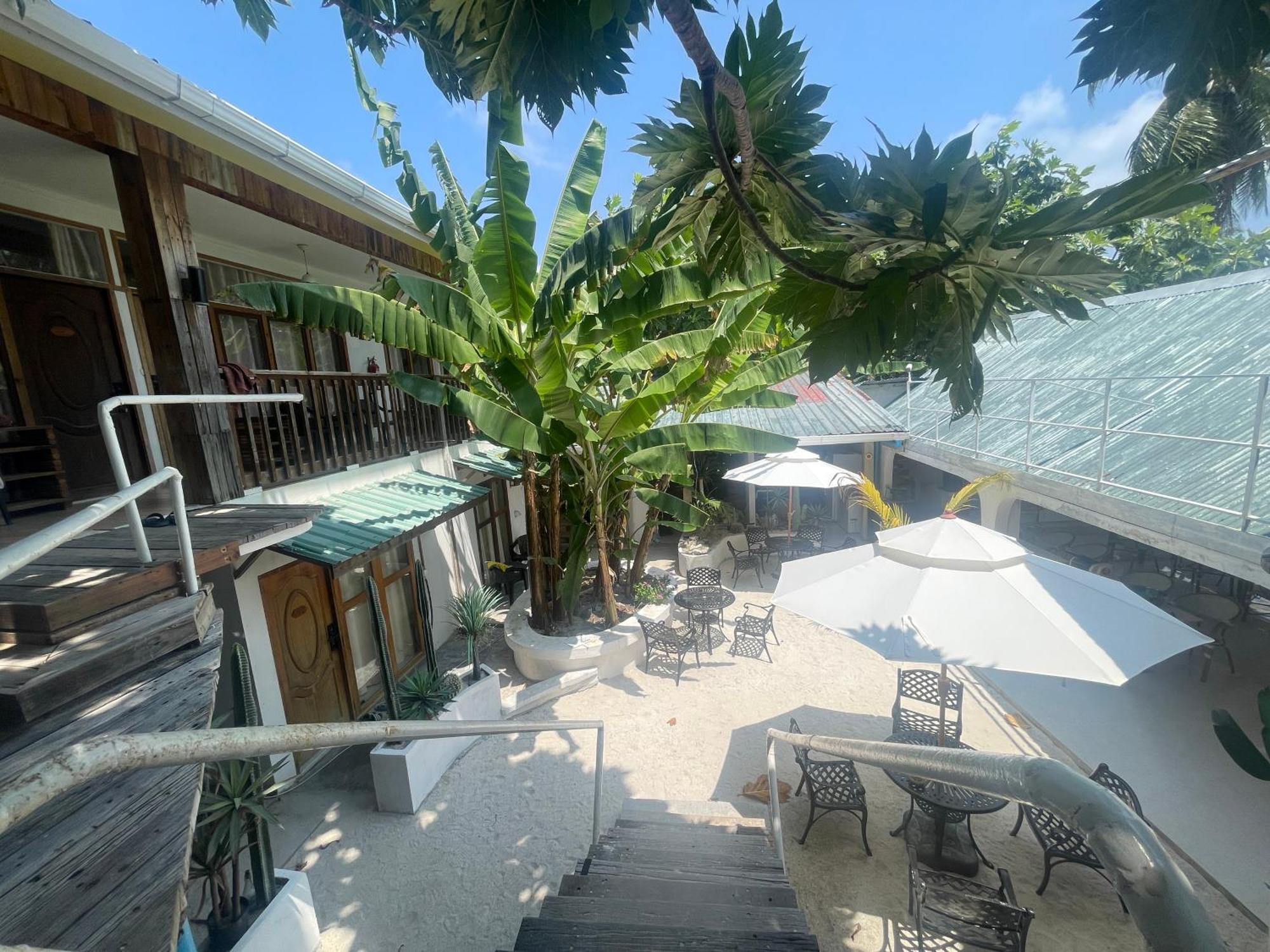Panda Holiday 中国酒店 中国餐厅 Vx Gsundindi Rasdhoo Eksteriør billede